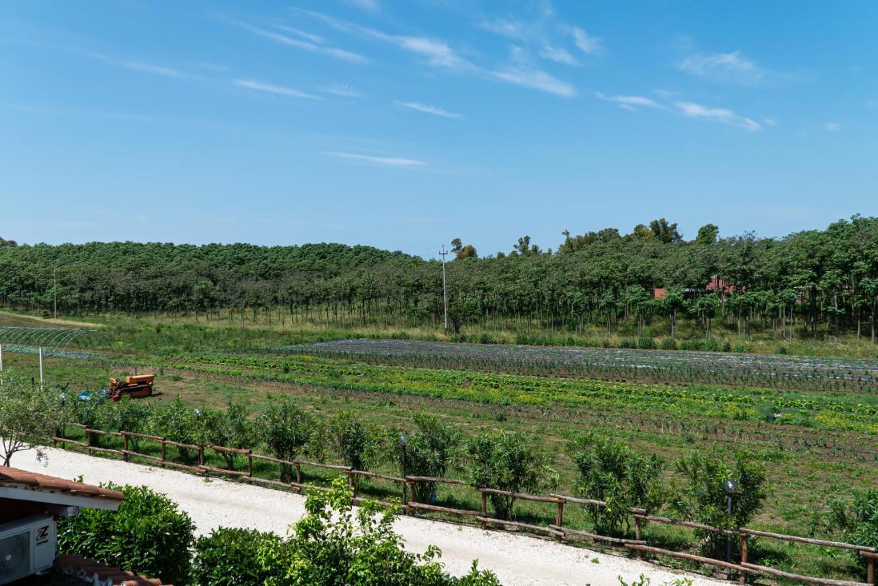 Agriturismo Il Casale Ponte Galeria Buitenkant foto